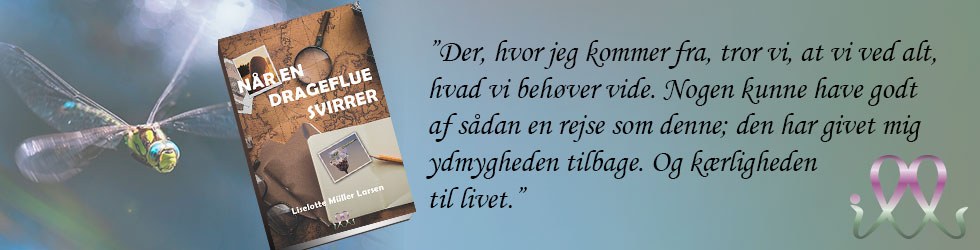 Banner med omslaget til Når en drageflue svirrer, en drageflue og et uddrag om en rejse, der giver ydmygheden og kærligheden til livet tilbage